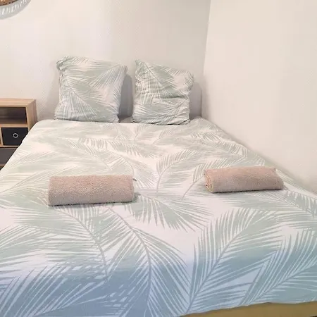 Meuble Centre-ville 30 Min Paris Apartment