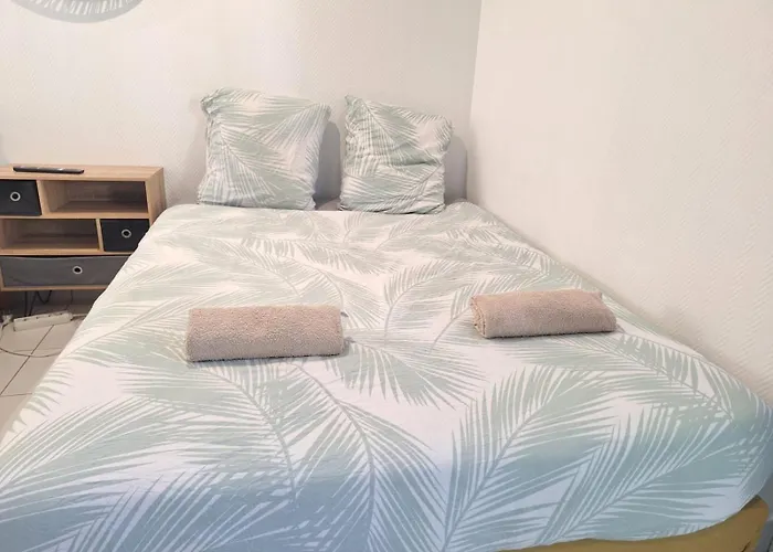 Daire Meuble Centre-ville 30 Min Paris Ris-Orangis